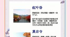 济南高端旅行联谊活动详情，领略泉城独特风景与饮食文化