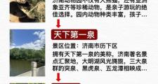 济南旅行好去处，赏景交友两不误！如何结交当地朋友看这里