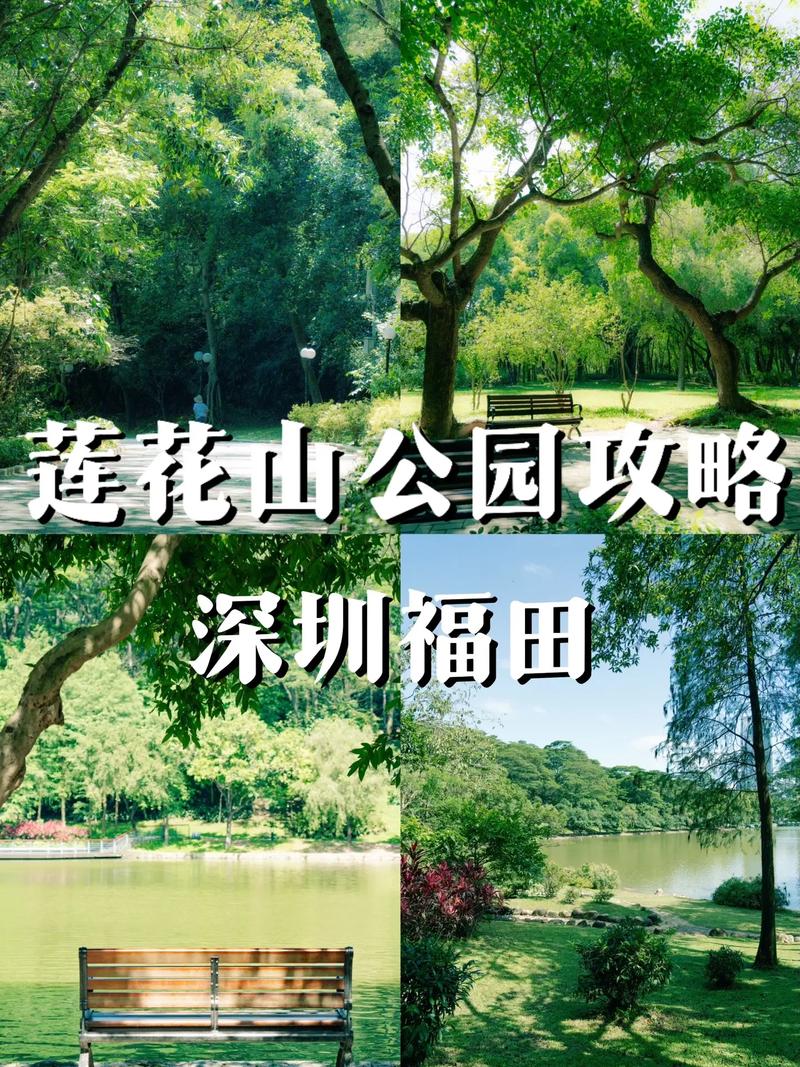 深圳游玩好去处，深圳湾公园与莲花山公园的交友之道