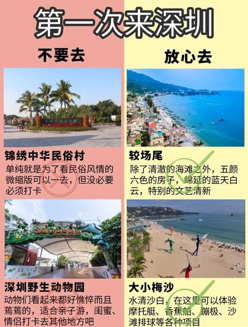 深圳私人伴游指南：多种选择途径及注意事项