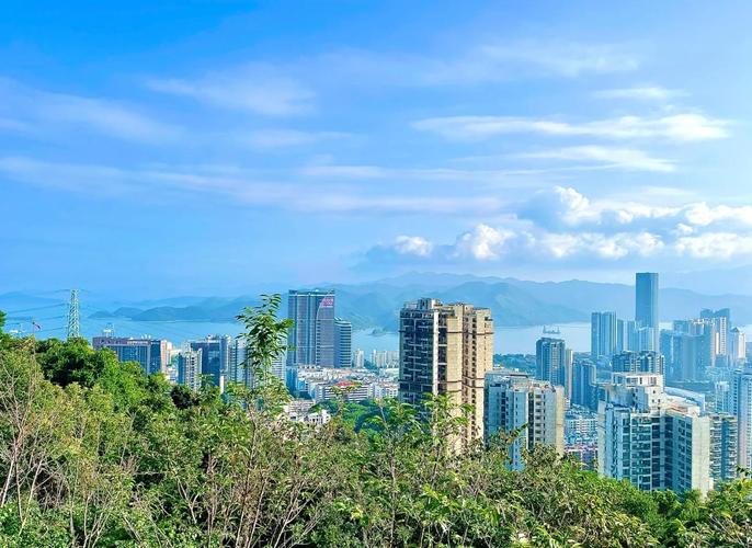 深圳之旅：领略繁华魅力，感受独特交际与开放友善氛围